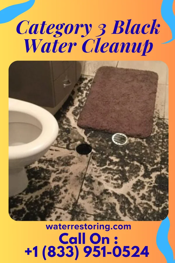 Category 3 Black Water Cleanup in Angola, NY