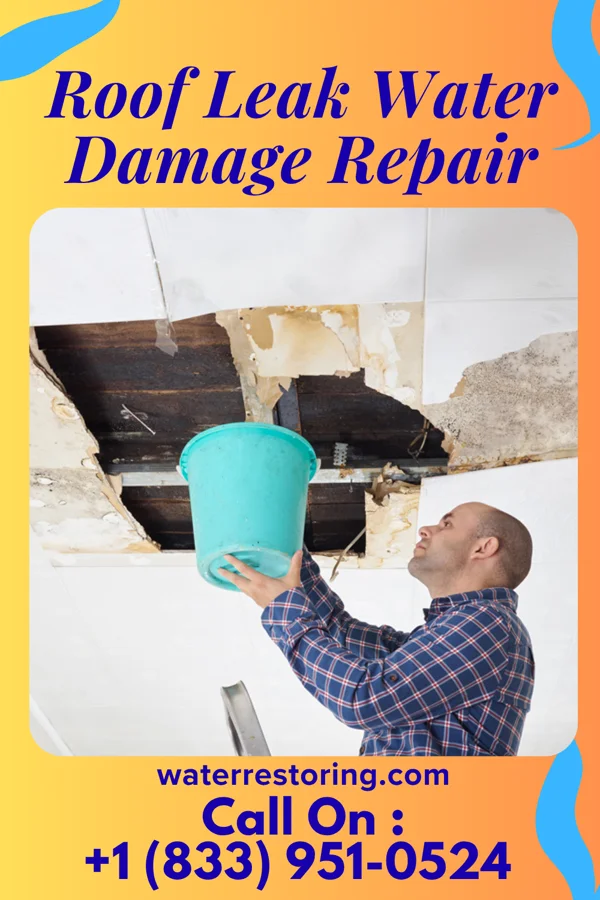 Roof Leak Water Damage Repair in Angola, NY