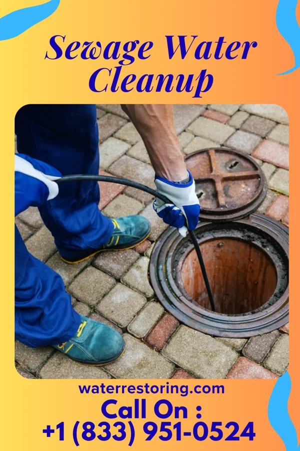 Sewage Water Cleanup in Angola, NY