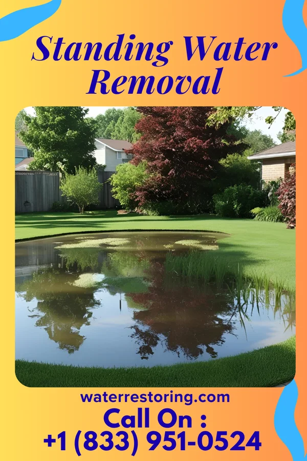 Standing Water Removal in Angola, NY